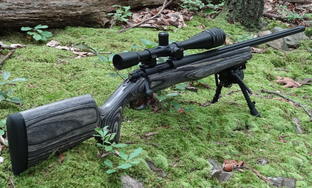 GALLERY - Boswells Custom Rifles